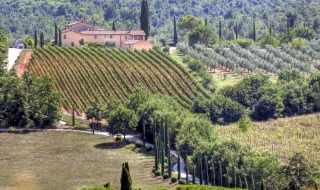 Toskania - okolice San Gimignano