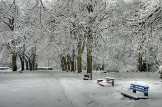 zamojski park zimą